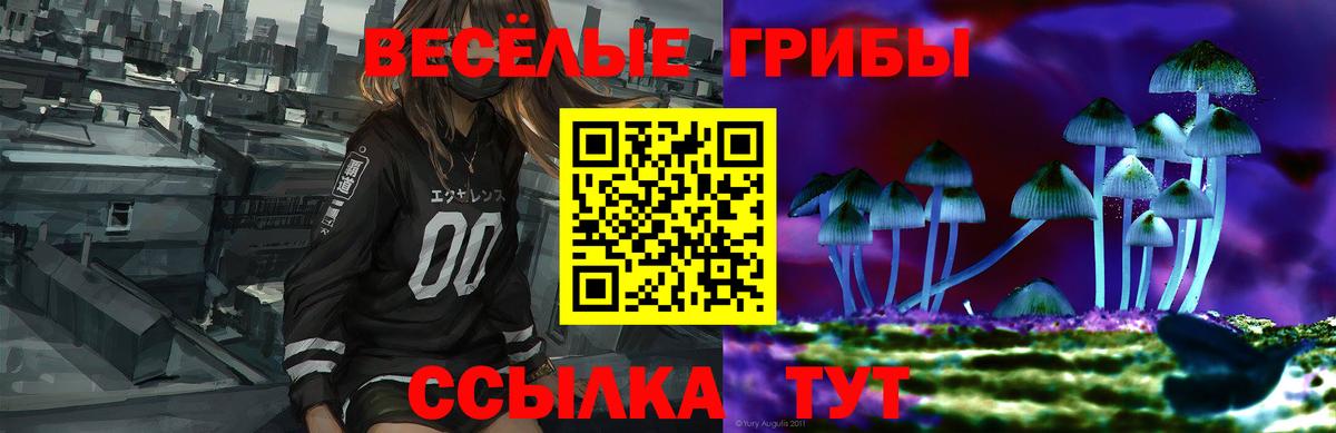 Псилоцибиновые грибы GOLDEN TEACHER  Вход с VPN  Снежинск 